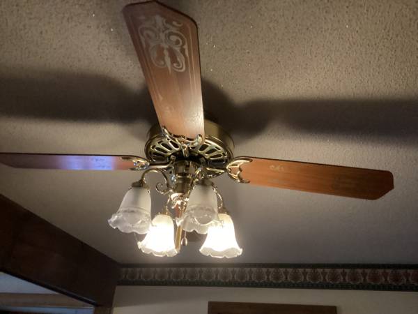 Ceiling Fan with Light Fixture 1