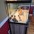 75 Gallon Aquarium and Stand 6 thumbnail