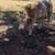 Charolais/Angus 4 thumbnail