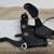Brake/Shifters, Shimano 2 thumbnail