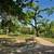 2 Bed 1 Bath Apartment near downtown San Angelo 20 thumbnail