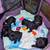 Miniature/Toy Poodle Puppies 3 thumbnail