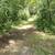 23 acre paradise for sale 11 thumbnail