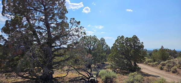 $50,000 10 acres de terreno recreativo (Prineville)63839289796737121