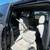2007 Honda Odyssey - Financing Available! 15 thumbnail