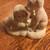 Snowbabies "You've Got A Big Heart" Figurine 1 thumbnail