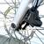 XS Like New Specialized Sirrus 4.0 Carbon Fiber Hybrid Bike 10 thumbnail