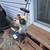 Stihl Tool 4 thumbnail