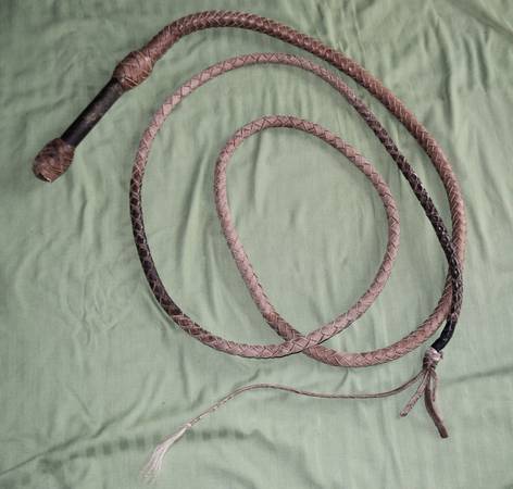 12 ft Bull Whip 1