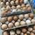 Farm fresh eggs 2 thumbnail