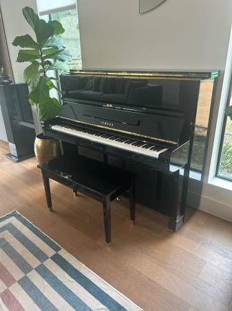 💪PROFESSIONAL Piano movers/moving:upright ,baby grand,gun safe 💪 1
