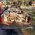 Forest Friendly Firewood 6 thumbnail