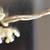 1940’s Cracker Jack DONKEY Charm 1 thumbnail