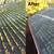 Roof Care, House Washing, Gutter Cleaning and More 13 thumbnail