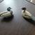 Vintage Miniature wood decoy duck figurines 1 thumbnail