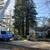 💥TOP-RATED TREE SERVICE 💥 Sacramento • Trimming • Removal •Tree Care 23 thumbnail
