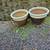 2 plant pots 1 thumbnail