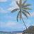 Landscape paintings 5 thumbnail