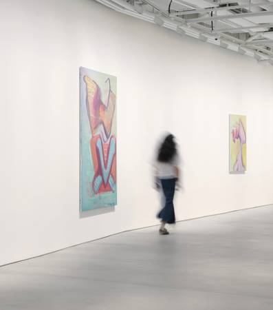 Photo Assistant - Monday Nov 10th 1