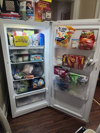 GE Standing freezer 1