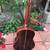 Paul McGill MKS Handcrafted 00 Acoustic Guitar 10 thumbnail