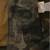 Camouflage 16 thumbnail