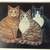 Kitty Cat Storage Tin Note Box 1995 Steven Lawrence Vintage Container 11 thumbnail