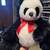 New Stuff Animals 7 thumbnail