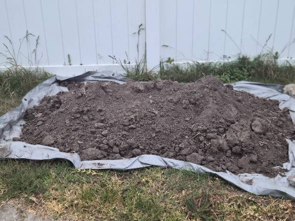 Free dirt 1