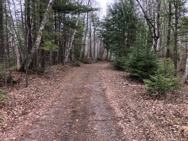 $153,000 / 38ft2 - 38 Acres of Beautiful wooded Land (Kempster)64152174712323122