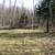 5.5 Acres on Lake Minnewawa 9 thumbnail