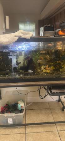 Fish tank 1
