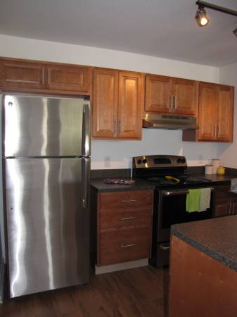 $1,554 / 3br - 1160ft2 - 3BR 3BR renovated apartment located in the heart of Merriman Valley (Akron)63621941275137122
