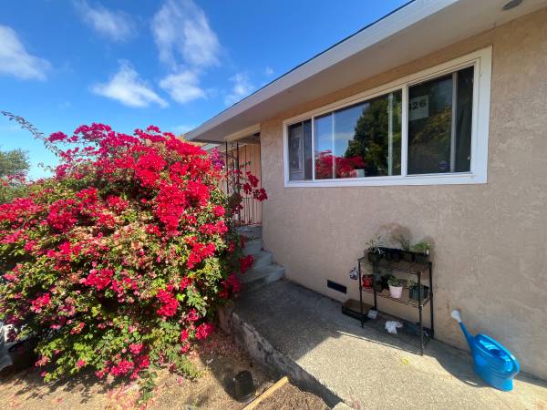 $971 One room in sunny, spacious East Oakland house available Oct 1st (oakland east)63850428153347120