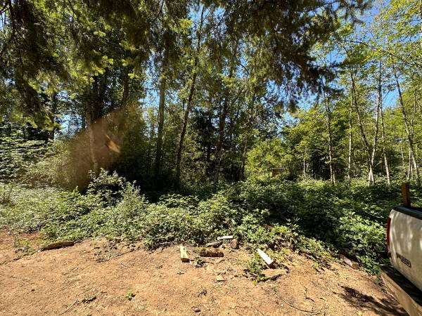 $100,000 5 Acres in Kelso64039056855425120
