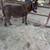 Peewee Mini Donkey 7 thumbnail