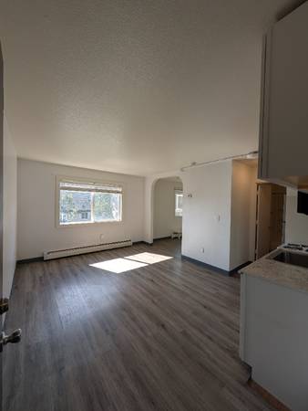 1 1 Bed 1 Bath Downtown 1