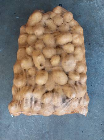 50 lbs Yellow Dilishes Potatoes ( Delivery Included  ) 1