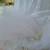 Wedding dress 1980s 2 thumbnail