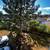 Charming Private Suite w/ Balcony & Yard – Cedar Hill – Sept 1 7 thumbnail
