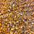 Non GMO dry shelled corn, Barley Straw 1 thumbnail