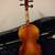 fiddlerman Artist viola with case and bow, 16" 2 thumbnail