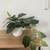 Vibrant Faux Pothos Plant in Pot - Artificial Greenery 1 thumbnail