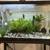 20 Gallon Fish Tank with Metal Stand 1 thumbnail