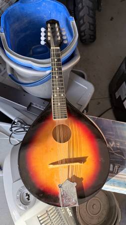 Mandolin project - free 1