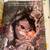 Your Big Backyard Magazine Lot of 30 Issues Nature Animals 1980s 5 thumbnail