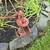 Vintage cast iron water pump. 1  LEFT! 2 thumbnail