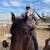 7 year old bay gelding 3 thumbnail