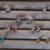 9 NEW or New/Never Used Earrings - $3.00 to $13.00 each 5 thumbnail