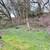 313 Orchard Drive 14 thumbnail